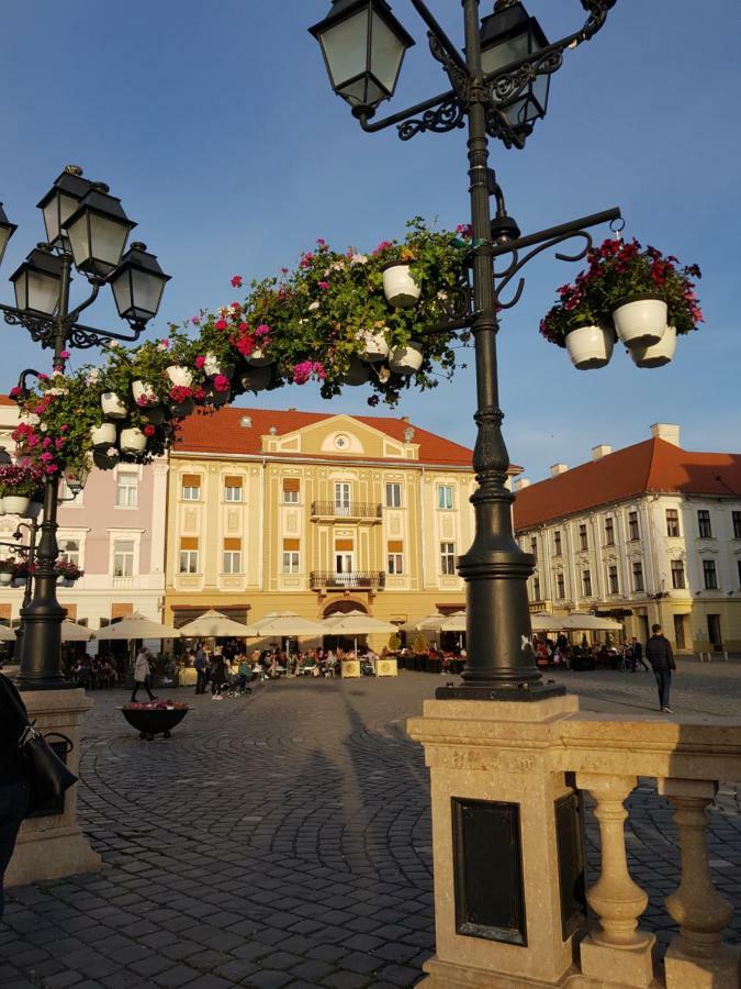 Apartament Baroc Timisoara Exterior foto